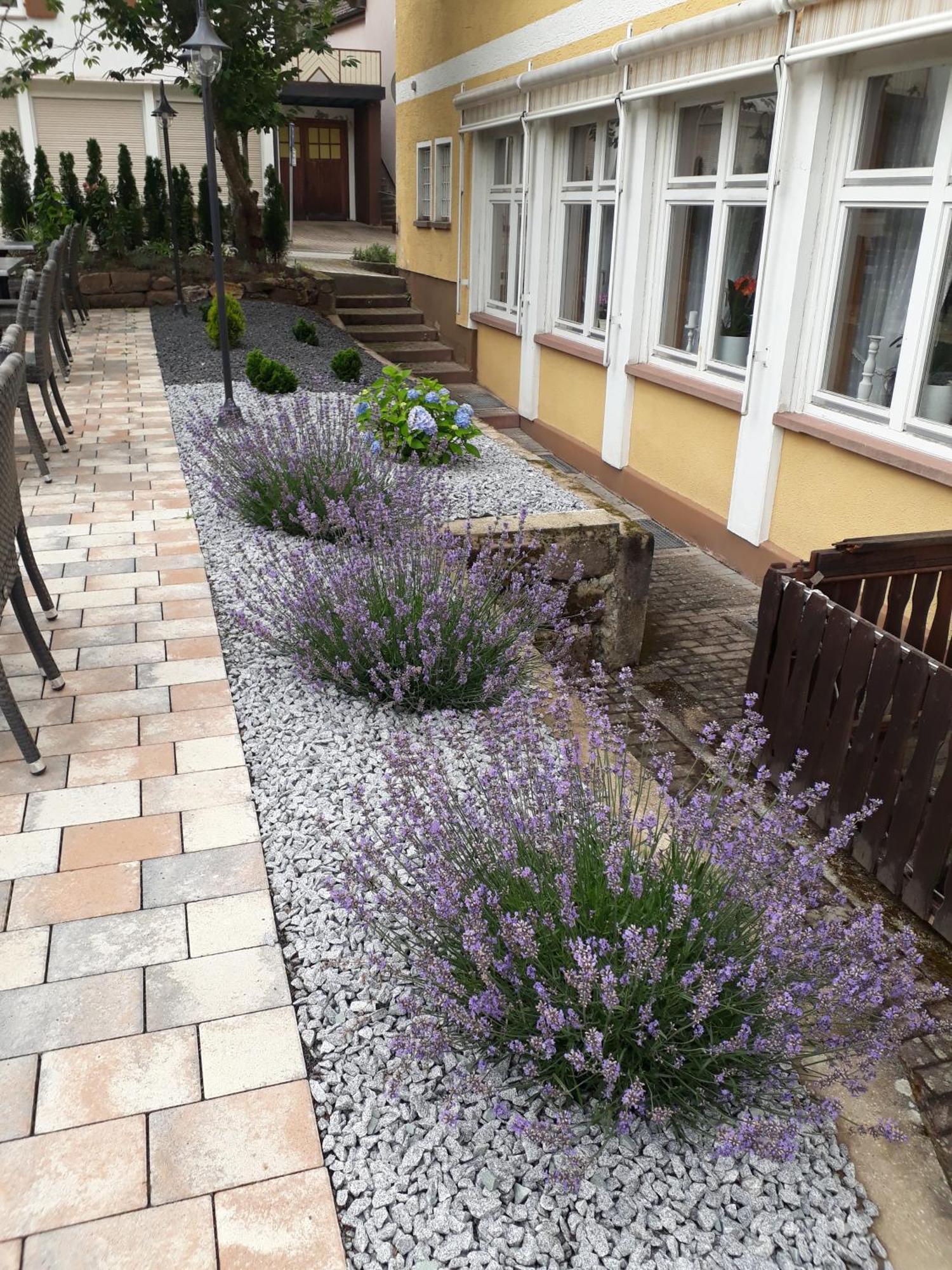 Hotel Eleon Bad Teinach-Zavelstein Dış mekan fotoğraf